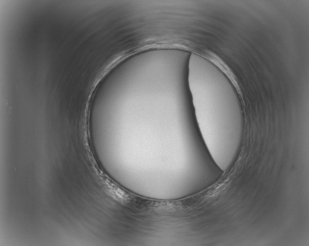 X0000076441002200610061020
