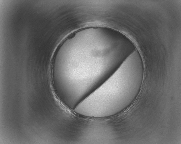 X0000076441008200610061020