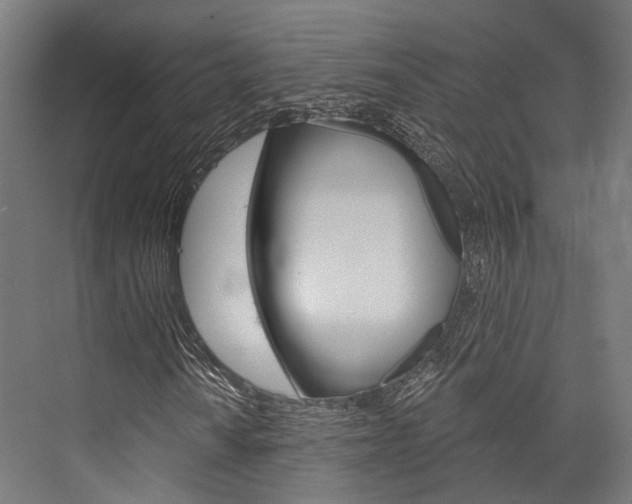 X0000076441010200610061019