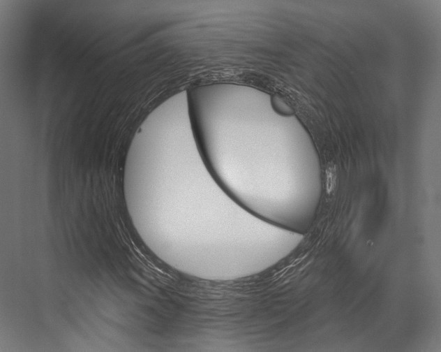 X0000076441011200610061019