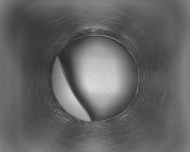 X0000076441014200610061019