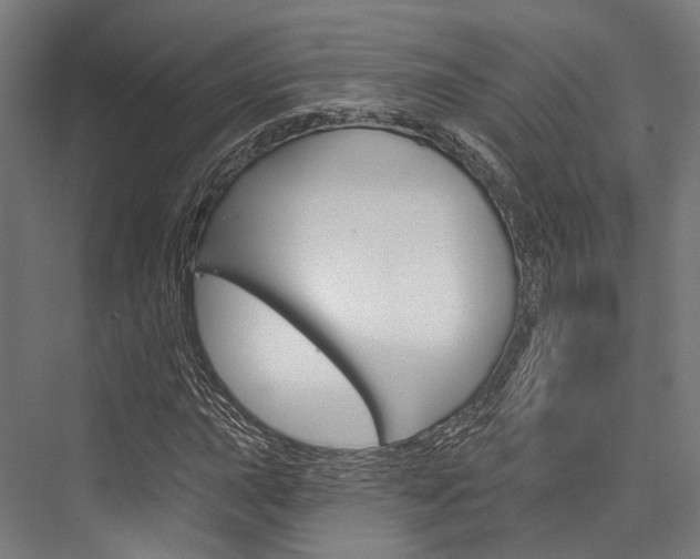 X0000076441015200610061019