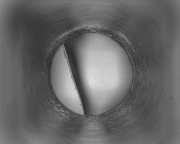 X0000076441016200610061019