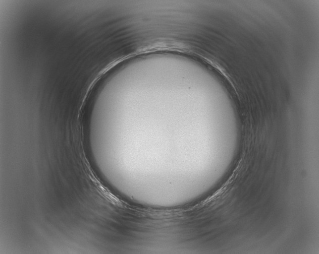 X0000076441018200610061020