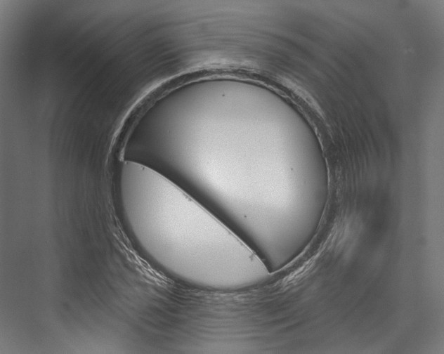 X0000076441021200610061020