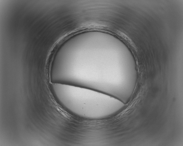 X0000076441027200610061020