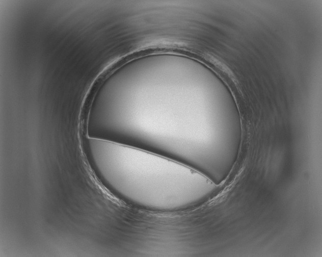 X0000076441029200610061020