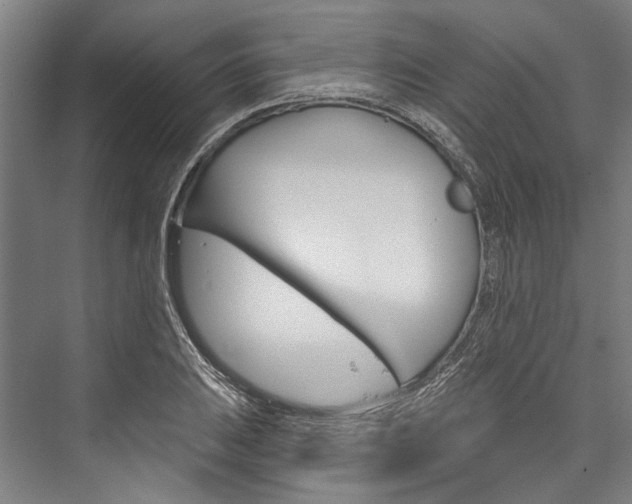 X0000076441031200610061020