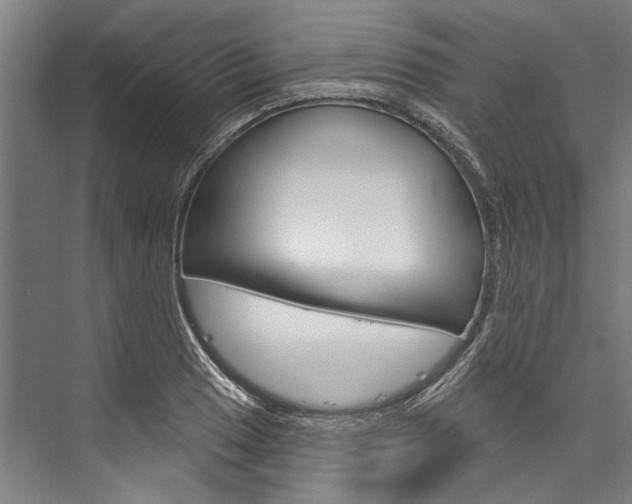 X0000076441033200610061020
