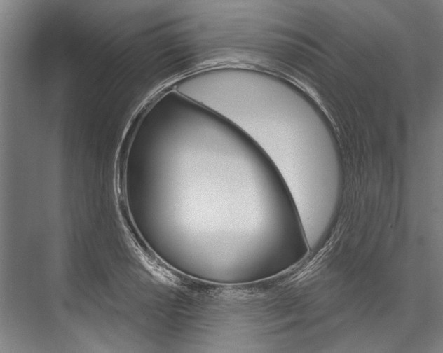 X0000076441034200610061020