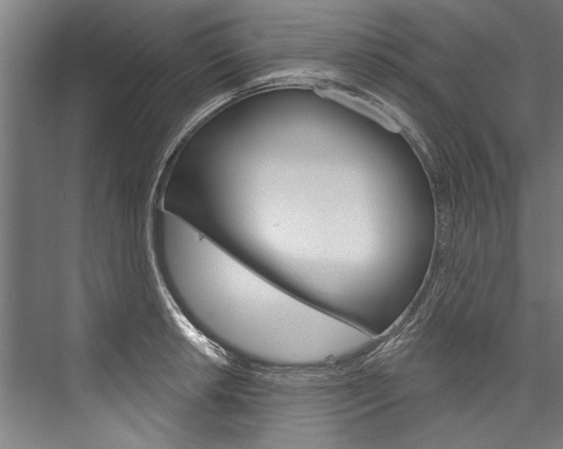 X0000076441042200610061020