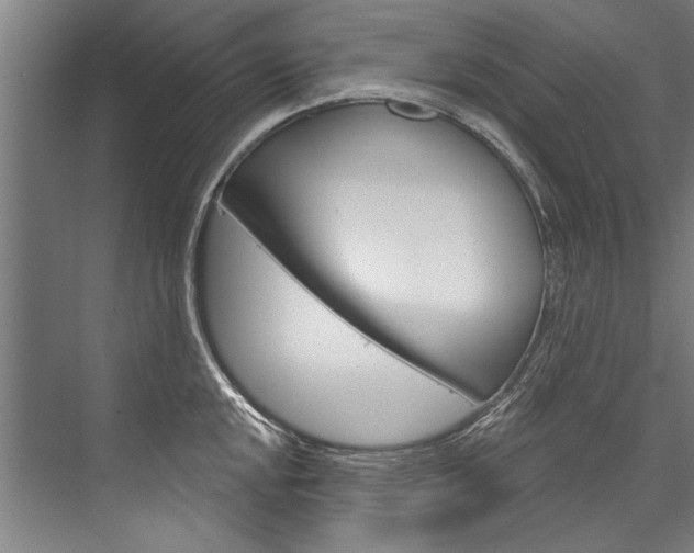 X0000076441048200610061020