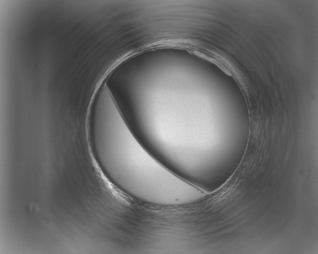 X0000076441050200610061020