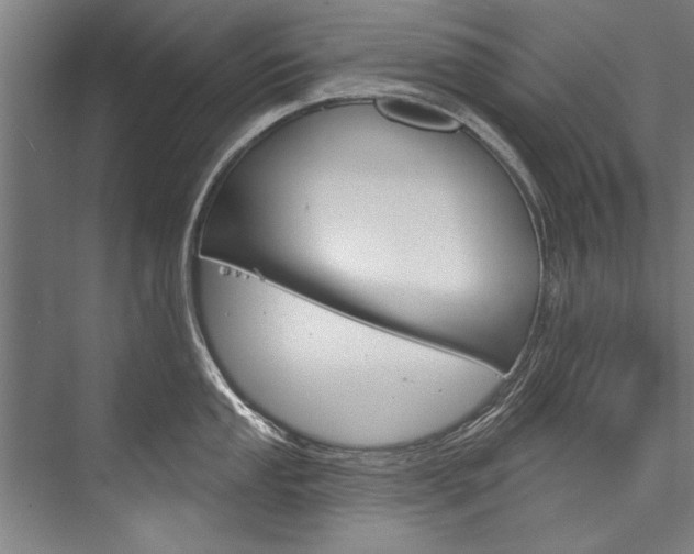 X0000076441053200610061020