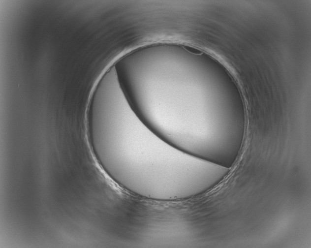 X0000076441056200610061020