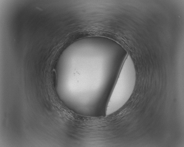 X0000076441057200610061019