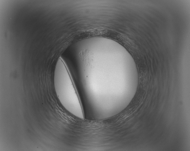 X0000076441058200610061019