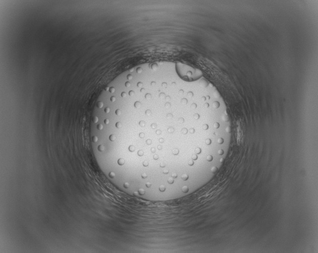 X0000076441059200610061019