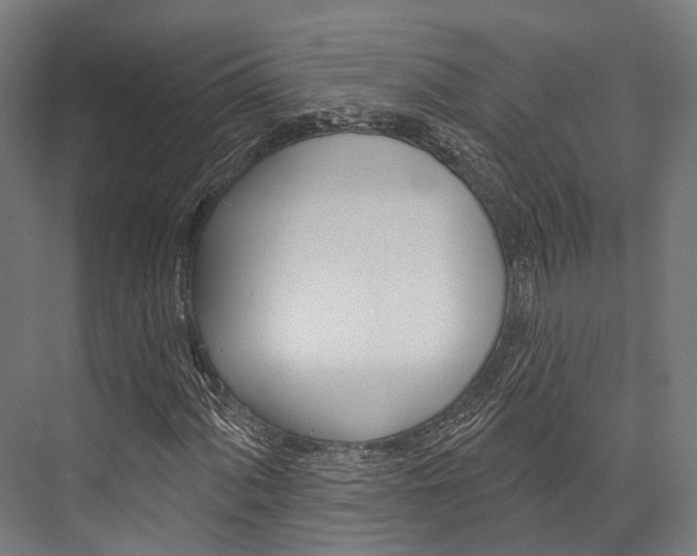 X0000076441060200610061019
