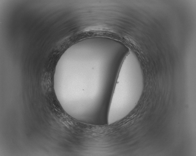 X0000076441062200610061019