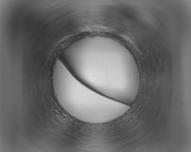 X0000076441063200610061019