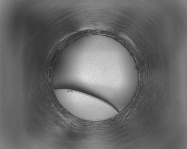 X0000076441064200610061019