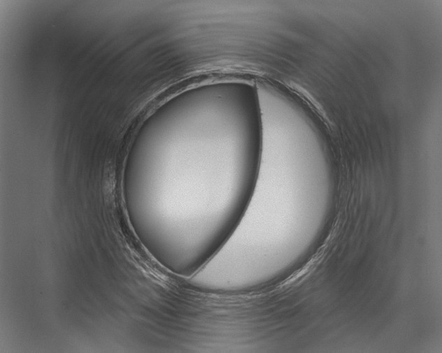 X0000076441065200610061019