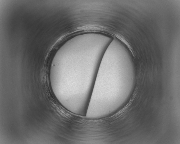 X0000076441067200610061019