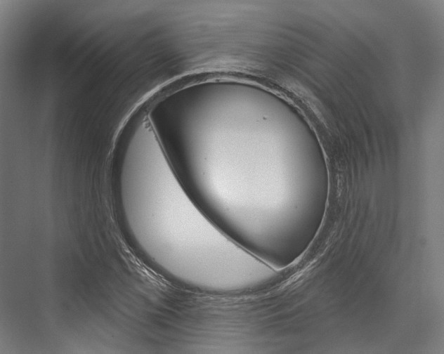 X0000076441069200610061019