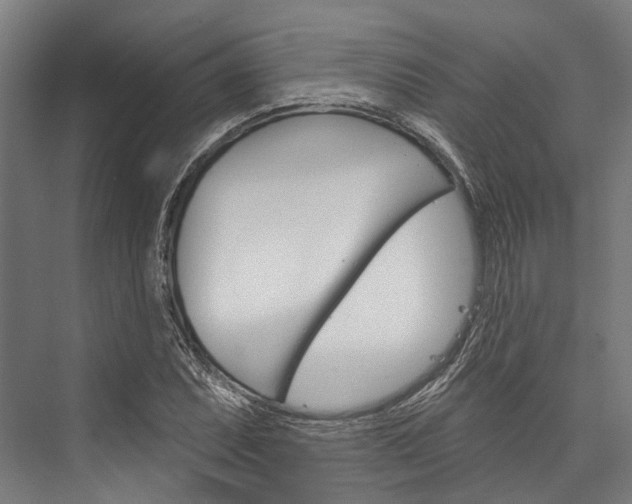 X0000076441071200610061019