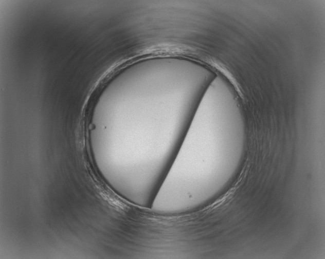X0000076441075200610061019