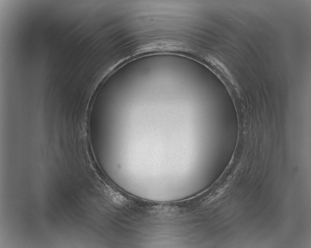 X0000076441081200610061019