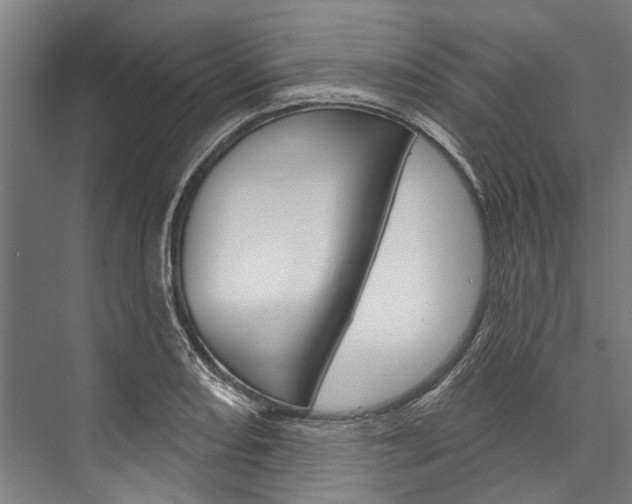 X0000076441082200610061019
