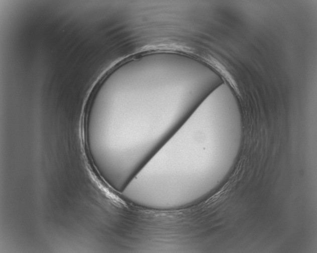 X0000076441084200610061019