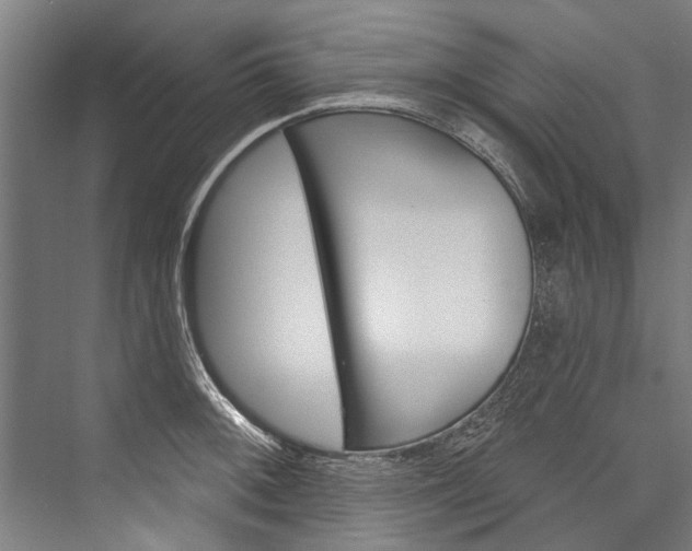 X0000076441092200610061019