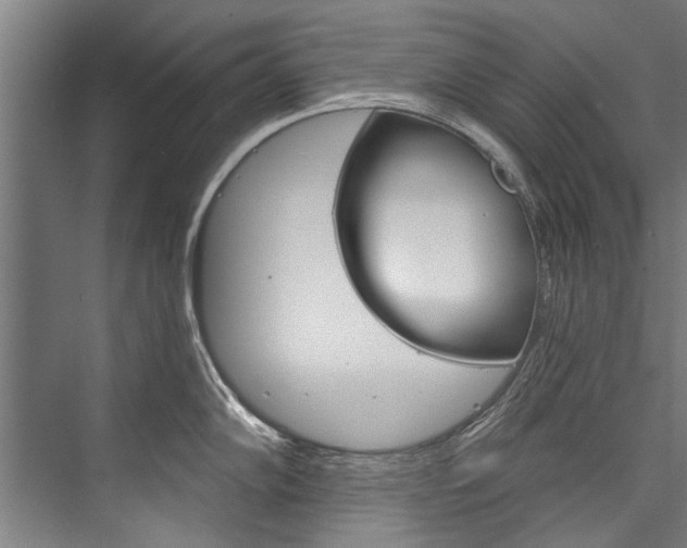 X0000076441102200610061019