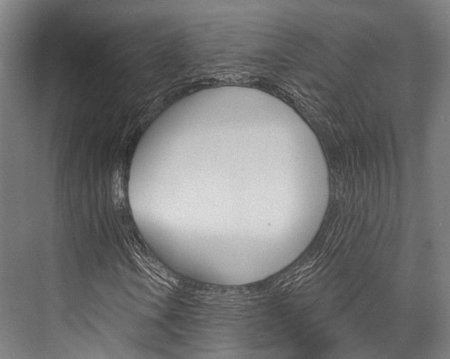 X0000076441106200610061018