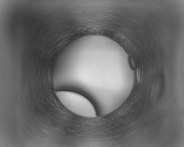 X0000076441107200610061018
