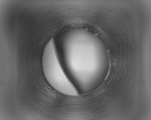 X0000076441108200610061018