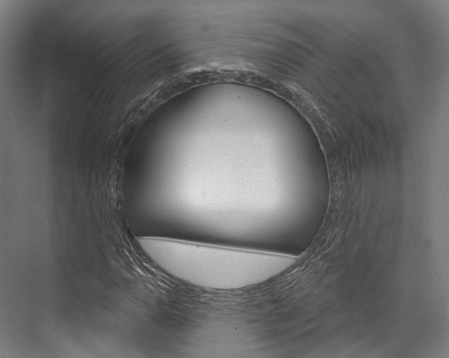X0000076441110200610061018