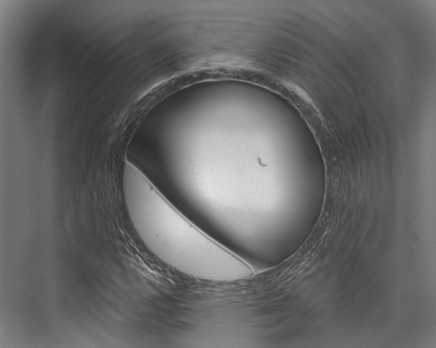 X0000076441112200610061018