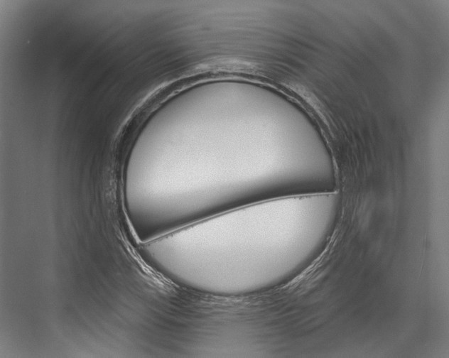 X0000076441115200610061018