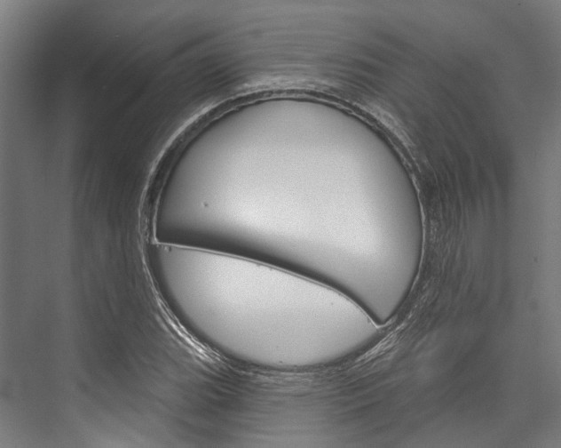 X0000076441119200610061018