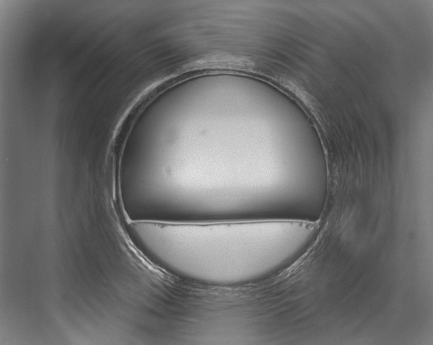 X0000076441123200610061018
