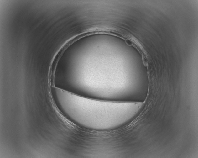 X0000076441124200610061018
