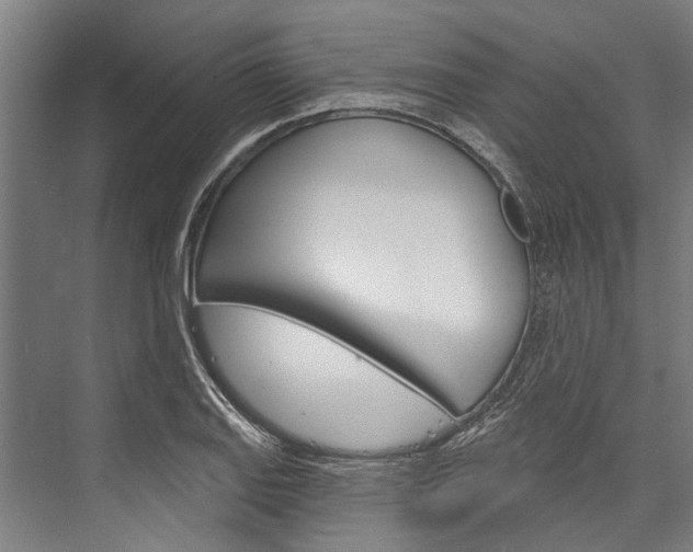 X0000076441127200610061018