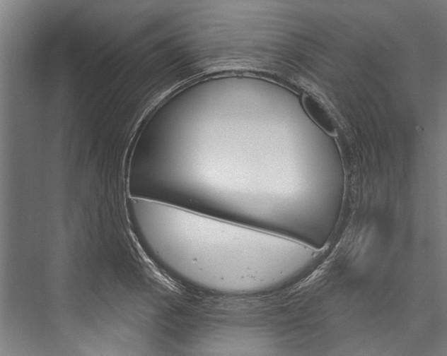X0000076441129200610061018