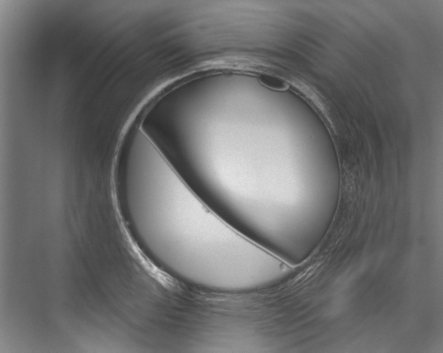 X0000076441131200610061018