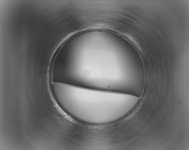 X0000076441134200610061018