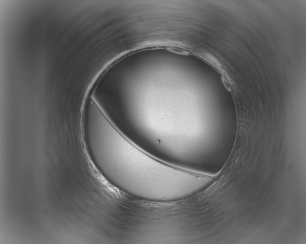 X0000076441140200610061018